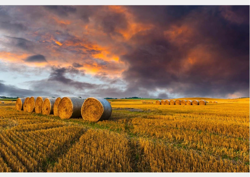 Fototapete, Apusul de soare in camp Art.01122