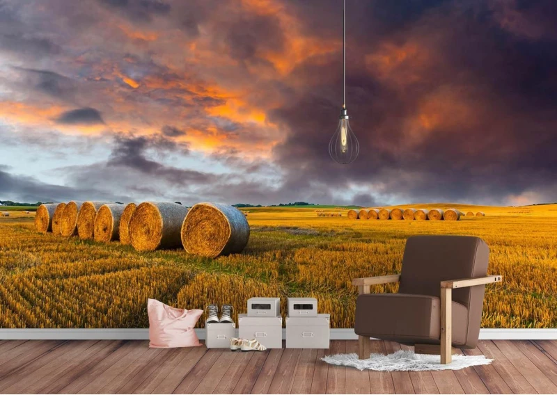 Fototapete, Apusul de soare in camp Art.01122