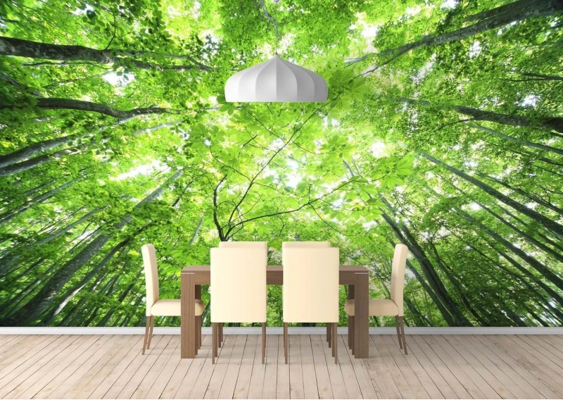 Fototapet, Copaci verzi Art.01366